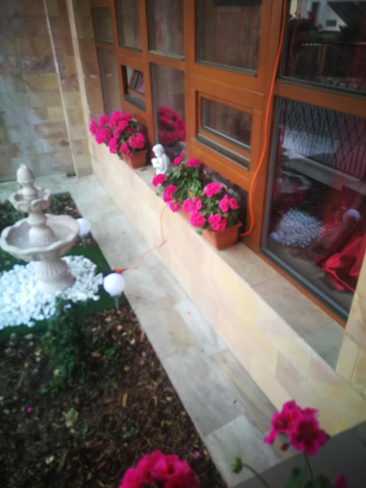 Vila Barrandovska Patro 2 Praha Bagian luar foto